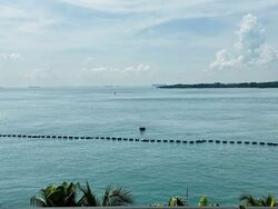The Oceanfront @ Sentosa Cove (D4), Condominium #570314131